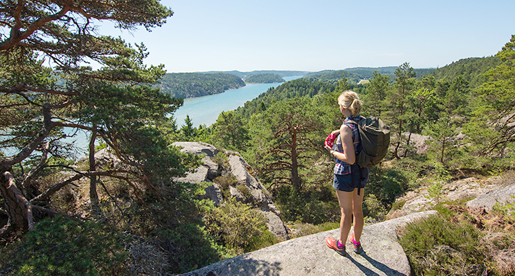 En kvinna står på en kvinna och tittar ut över skog och hav.