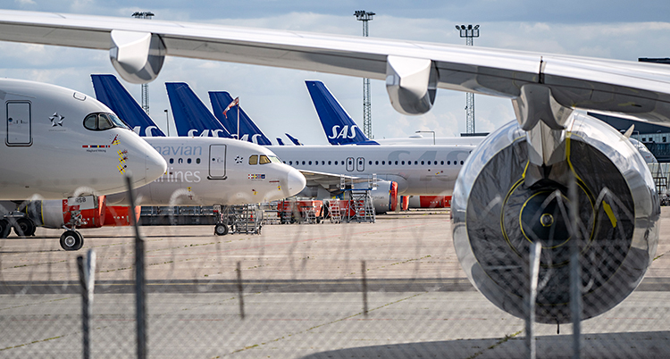 Flera flygplan står uppställda på en flygplats.