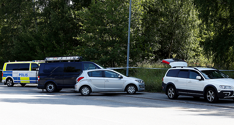 Flera bilar står parkerade vid en skog. På en av bilarna står det Polis.