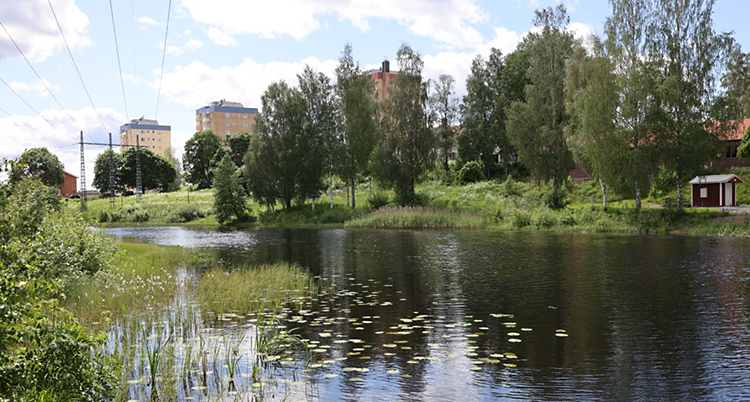 Det är sommar. Vi ser en å. Bakom ån finns träd och hus.