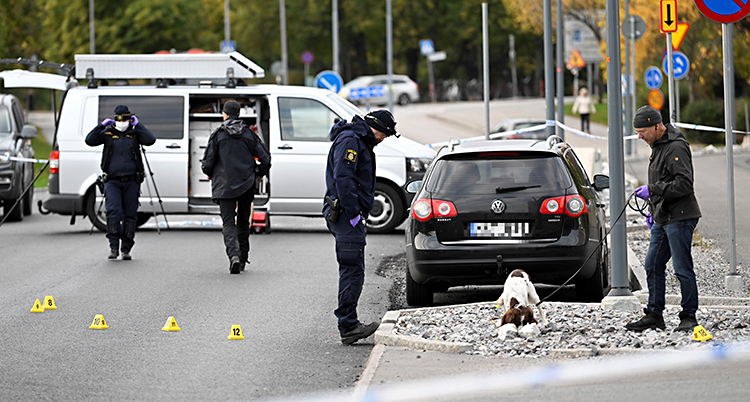 Några poliser är ute och jobbar på en gata. En av dem har en hund.