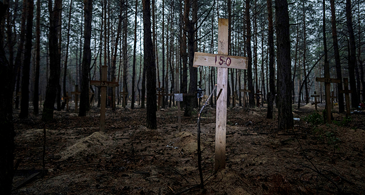 Bilden är tagen i en skog. Mellan träden finns det massor av kors, i trä.