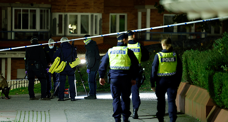 Det är kväll. Det är mörkt ute. Flera poliser är ute vid några hus med lägenheter.