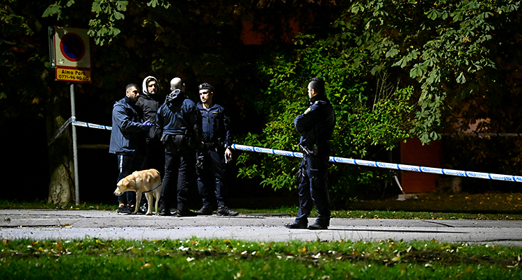 Det är mörkt ute. Några poliser står med en hund vid några träd.