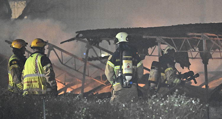 Vi ser ryggen på flera brandmän. I bakgrunden brinner det.