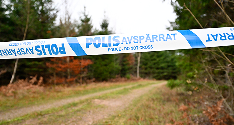 Ett polisband spärrar av en skogsväg.