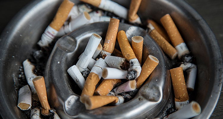 cigaretter fimpade i en askkopp.