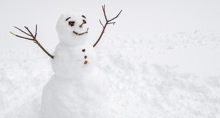 en snögubbe med armar av grenar och ansikte av stenar