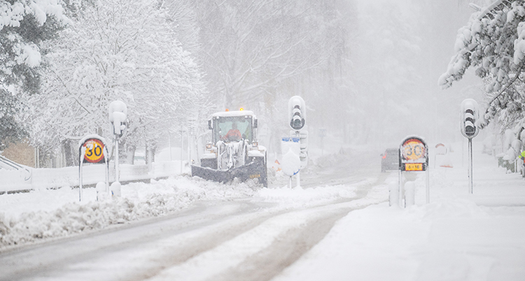 Det snöar och blåser. En traktor är ute och plogar en väg.