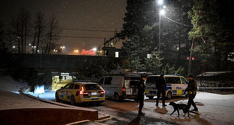 Det är mörkt ute. Vi ser några poliser och polisbilar vid en tågstation.