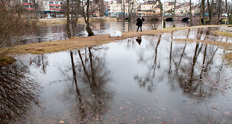 Det är fullt med vatten på en gräsmatta i staden.