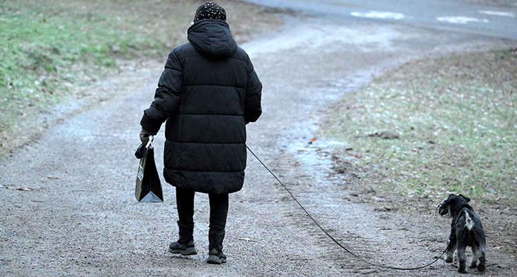 En kvinna med svart jacka och mössa promenerar med en hund i koppel. De går på en gång.