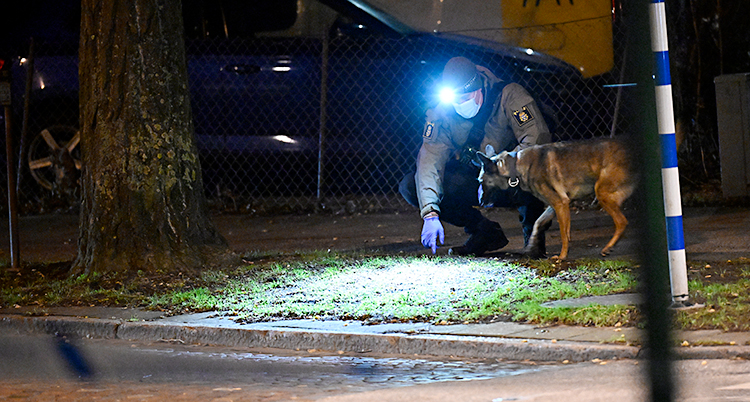 Det är mörkt ute. En polis med hund letar spår.