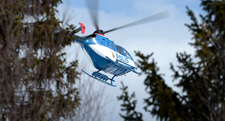 En helikopter åker i luften. Några granar syns.