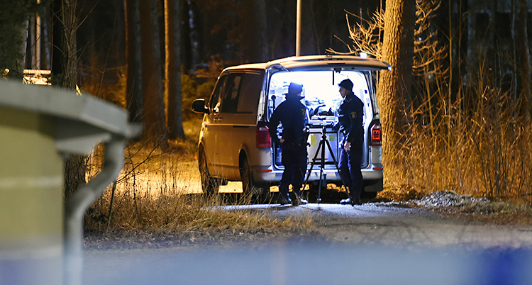 Det är mörkt ute. Två poliser står vid en skåpbil.