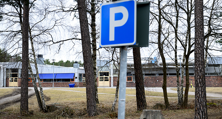 En parkeringsskylt syns i förgrunden. Bakom är en skogsdunge. Längst bak syns skolan i brunt tegel.
