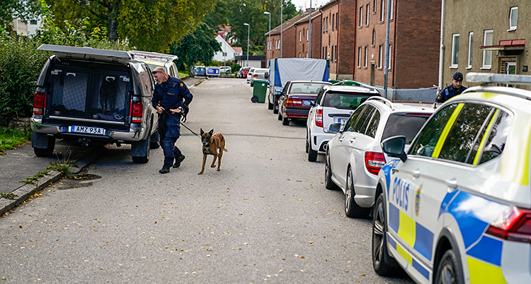 Flera poliser på en gata utanför några hus med lägenheter.