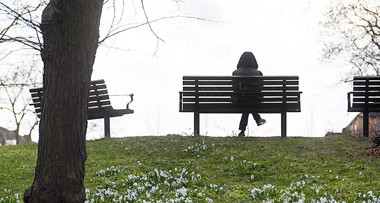 En ensam person sitter på en bänk i en park.
