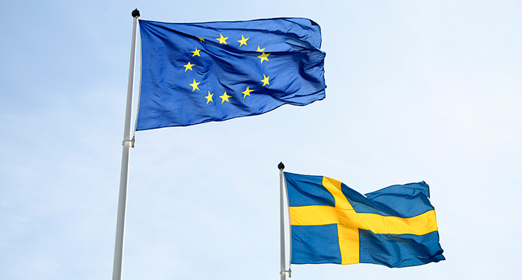 Eus flagga är blå med gula stjärnor.