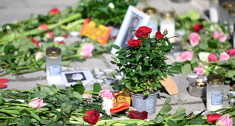 Många blommor på marken.