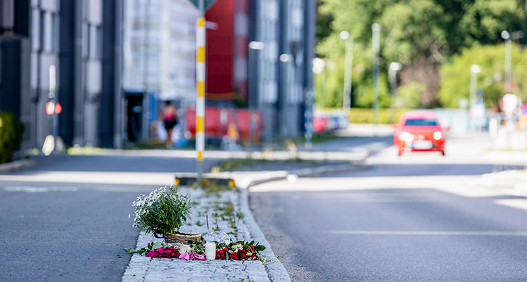 Blommor på en väg.