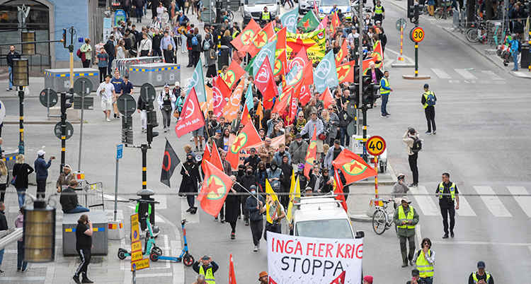 Ett tåg av demonstranter med många flaggor.