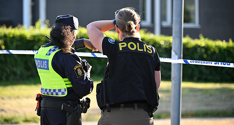 Två poliser i halvfigur med ryggen mot kameran.