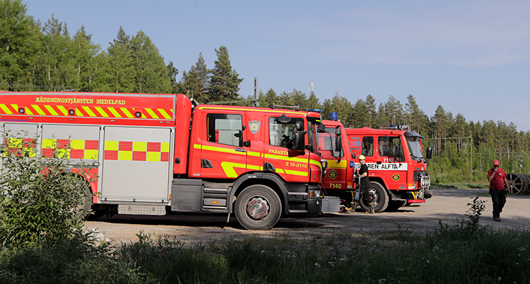 Brandbilar står på en väg framför en skog.
