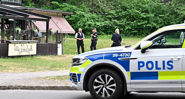 En polisbil i förgrunden. Några poliser pratar med folk på en gräsmatta.