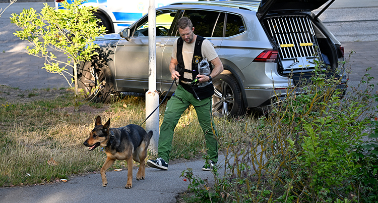 Civilklädd polisman med hund.