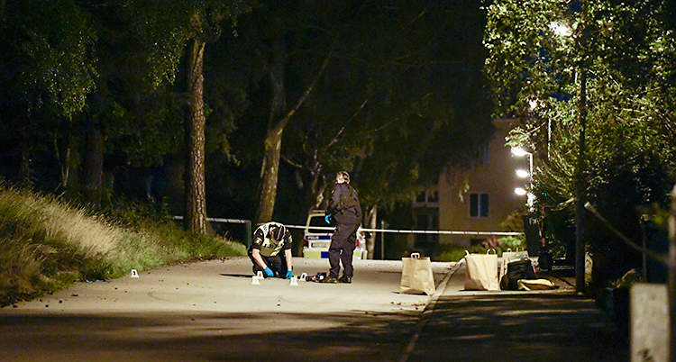 Det är mörkt ute. Två poliser letar bevis på en väg.