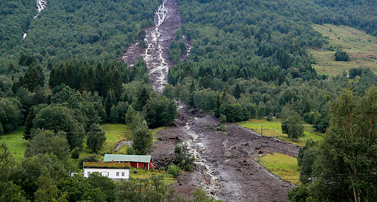 Jorden har rasat ner i en dal, genom skogen och precis förbi ett hus.