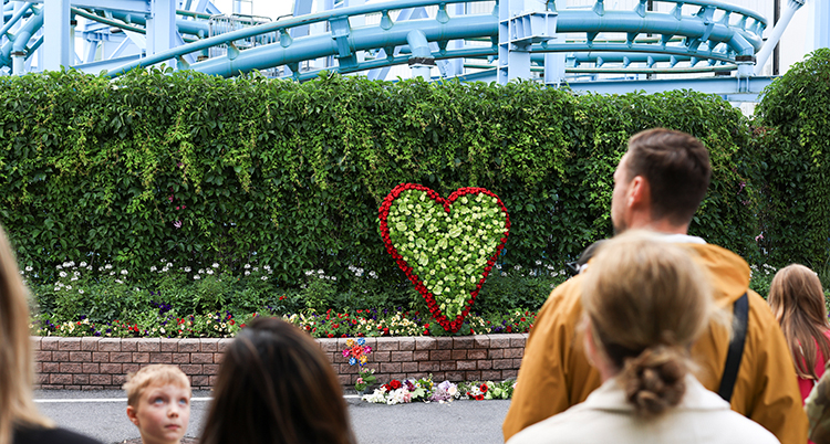 Ett hjärta av blommor syns.