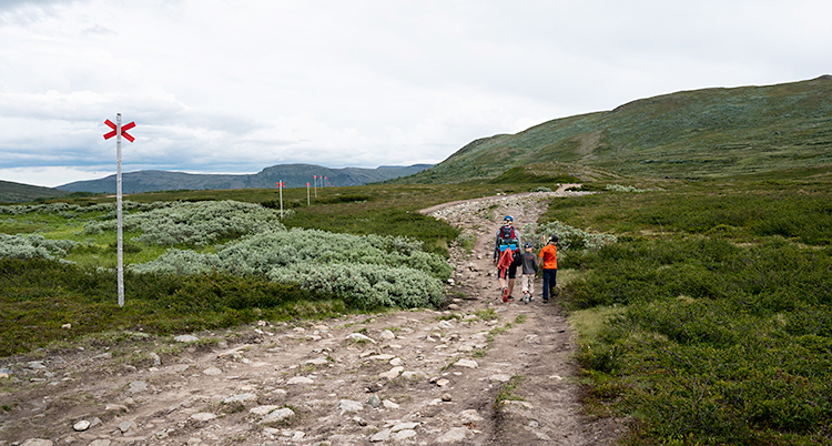 Tre personer som går på en led i fjällen.