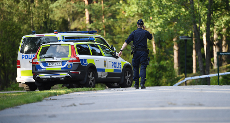 En polisbil, poliser och träd syns.