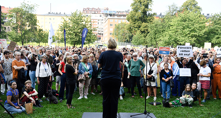 massa människor på en gräsmatta lyssnar på en person som talar.