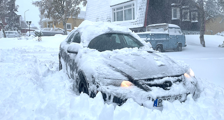 En bil är helt insnöad.