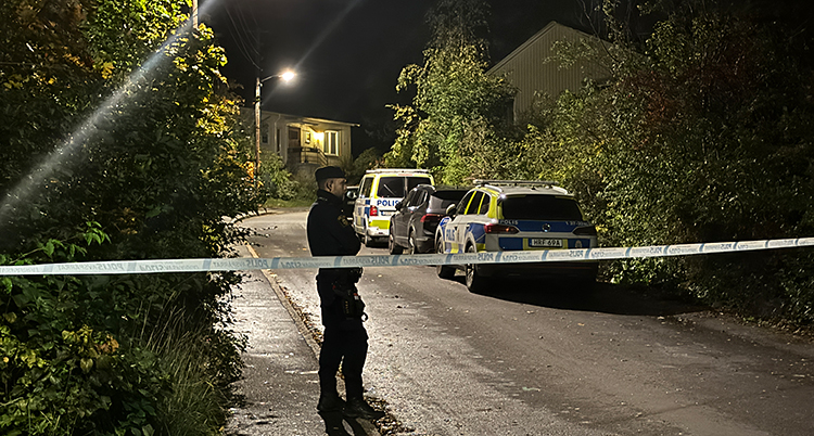 Det är mörkt. Poliserna har spärrat av på en gata med villor. En polis står och vaktar.