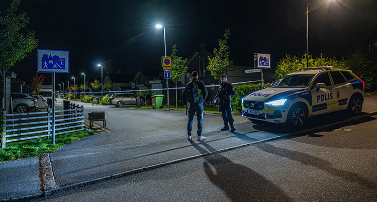 En polisbil och två poliser står på vägen. Det är mörkt.