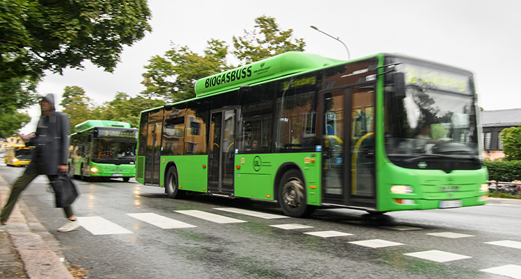 En grön buss kör på en gata. En person som gåt över gatan syns till vänster
