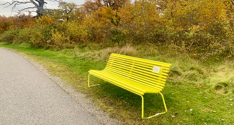 En gul bänk står vid en stig. Bakom syns buskar och träd.