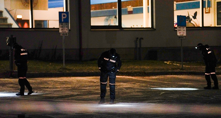 Poliserna undersöker marken utanför idrottshallen. De lyser med ficklampor. Det är mörkt ute.