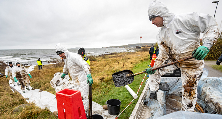 Folk i vita overaller samlar in olja vid stranden.