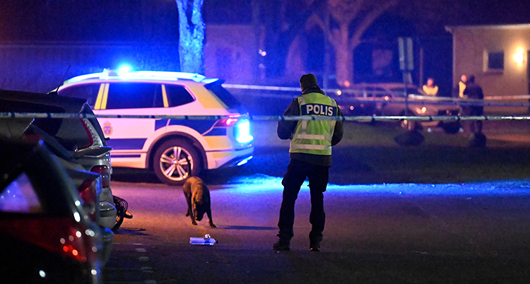 Det är mörkt ute. Det syns hus i bakgrunden. Polisbilar med blå ljus syns. En polis i gul varselväst står på gatan. En hund nosar.