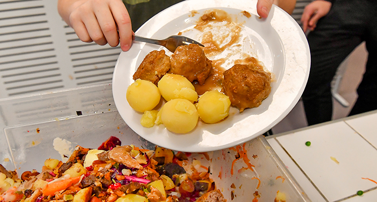 En person tömmer en tallrik med köttbullar och potatis i soporna.