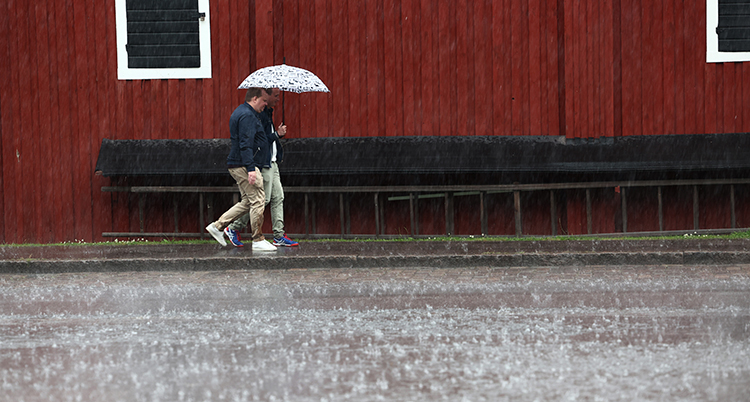 Två personer går under ett paraply. Det regnar.