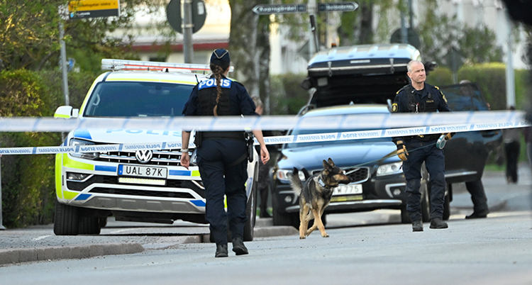 Två poliser och en hund syns på en gata som är avspärrad med tejp.