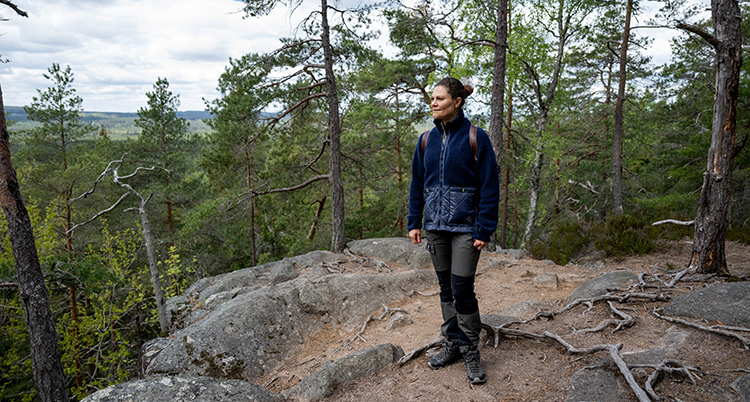 Hon står på en höjd i skogen och tittar ut på naturen.