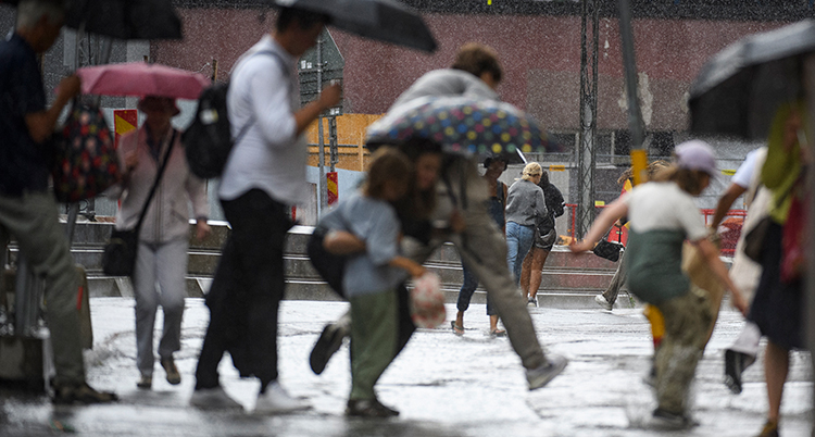 Folk springer med paraplyer i regn. Bilden är lite suddig.