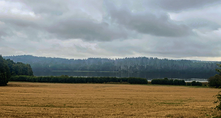 En åker i förgrunden, en blank sjö och skog i fonden.